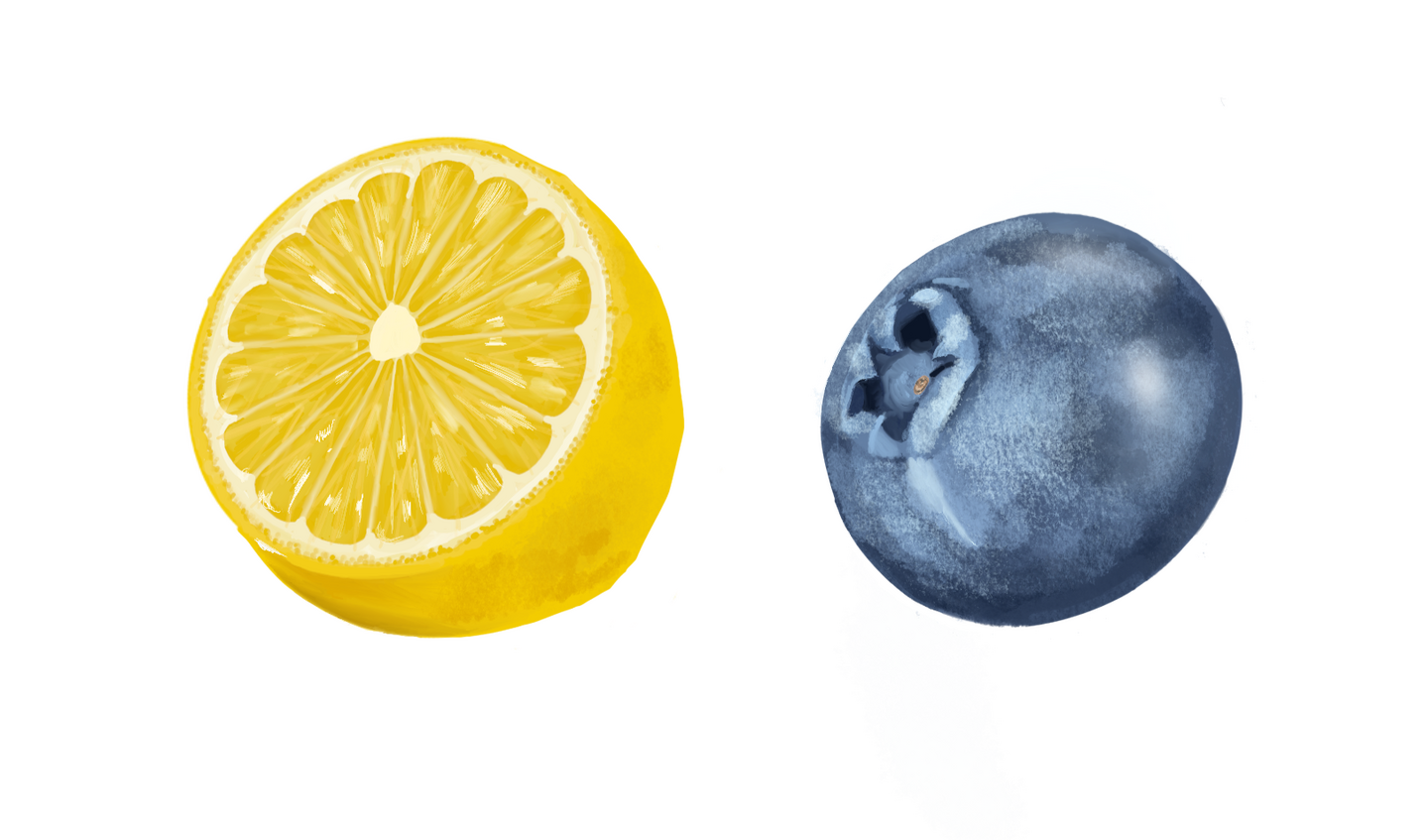 Blumonade-Final Fruit Illustrations