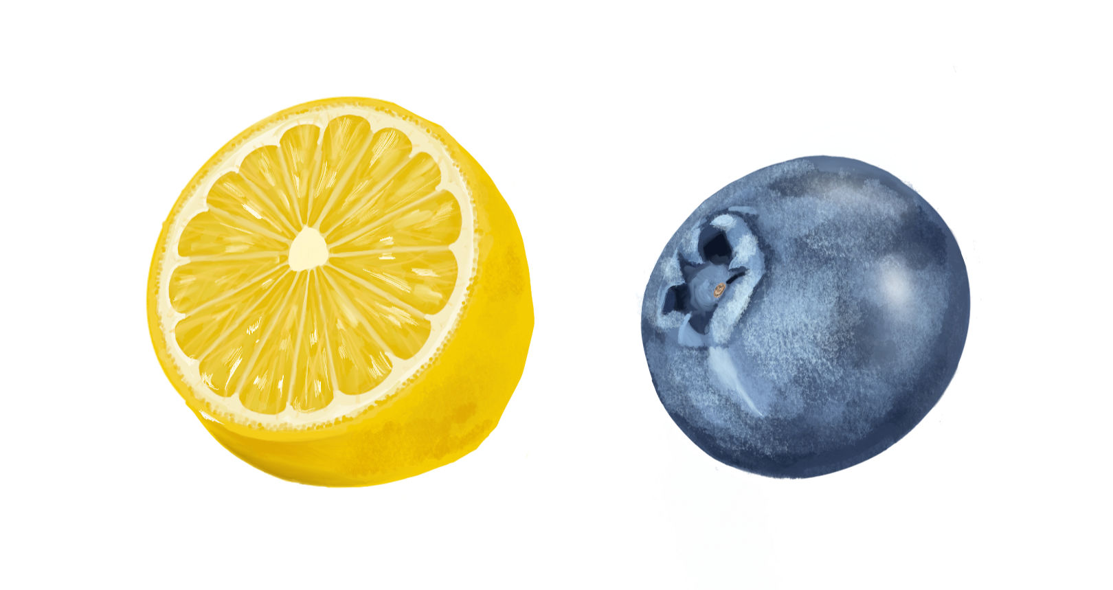 Fruit Illustrations for Blumonade (done in Procreate)